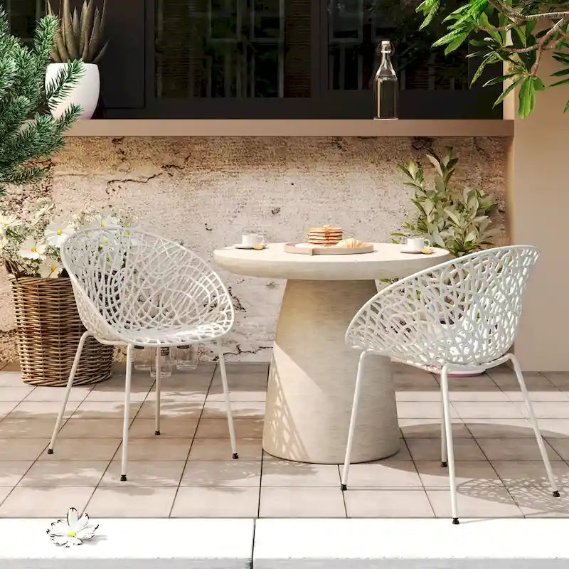 Christopher Knight Home - Chaises de salle à manger Neiman modernes et résistantes, lot de 2