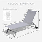 Ensemble de 2 chaises longues, chaises longues à roulettes, chaises longues à 5 positions réglables, chaises de piscine (2 chaises longues)